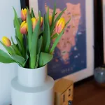 Garden Apartment