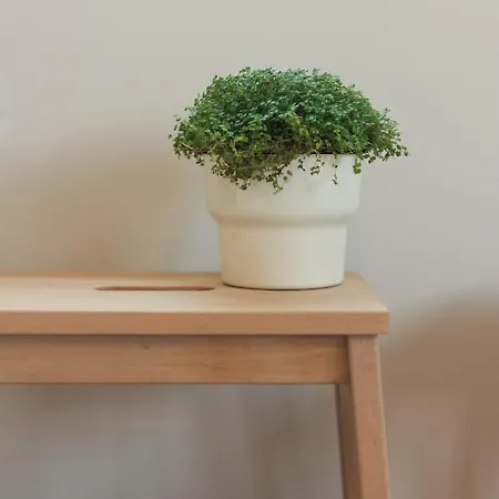 Апартаменты Garden *