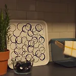 Garden Appartement