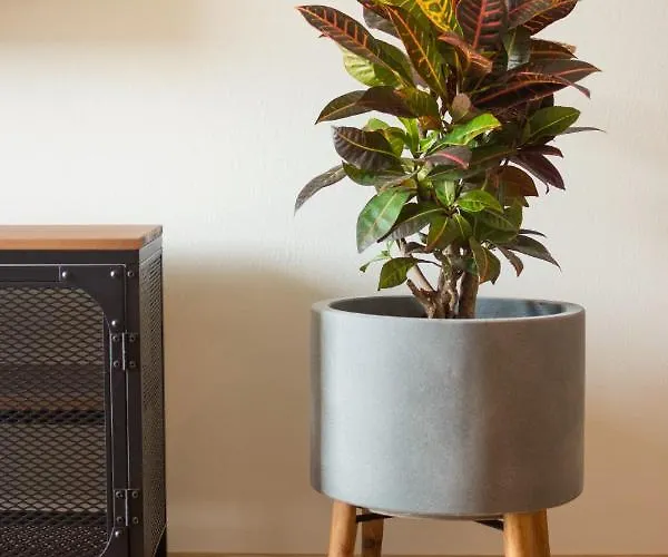 Garden Апартаменты