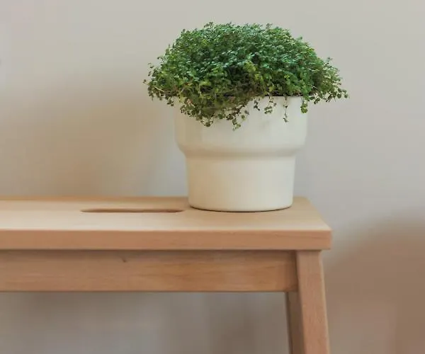 Апартаменты Garden *